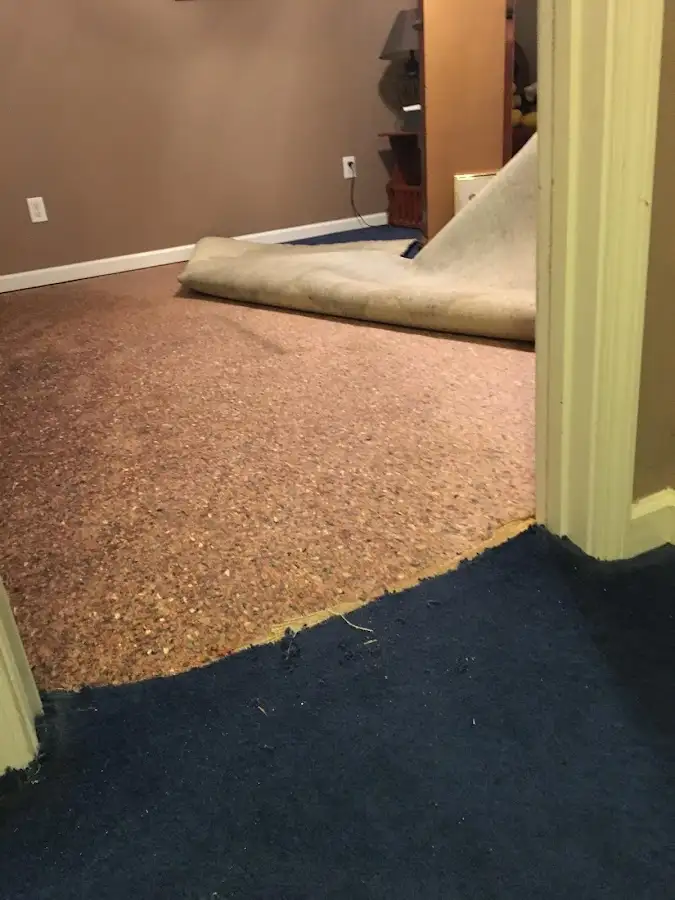 Carpet pad removal revealing water damage during Drying & Dehumidification in Waihee-Waiehu