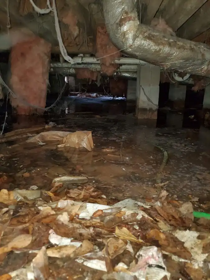 Crawl space flood assessment for Leak Detection & Repair in Waihee-Waiehu