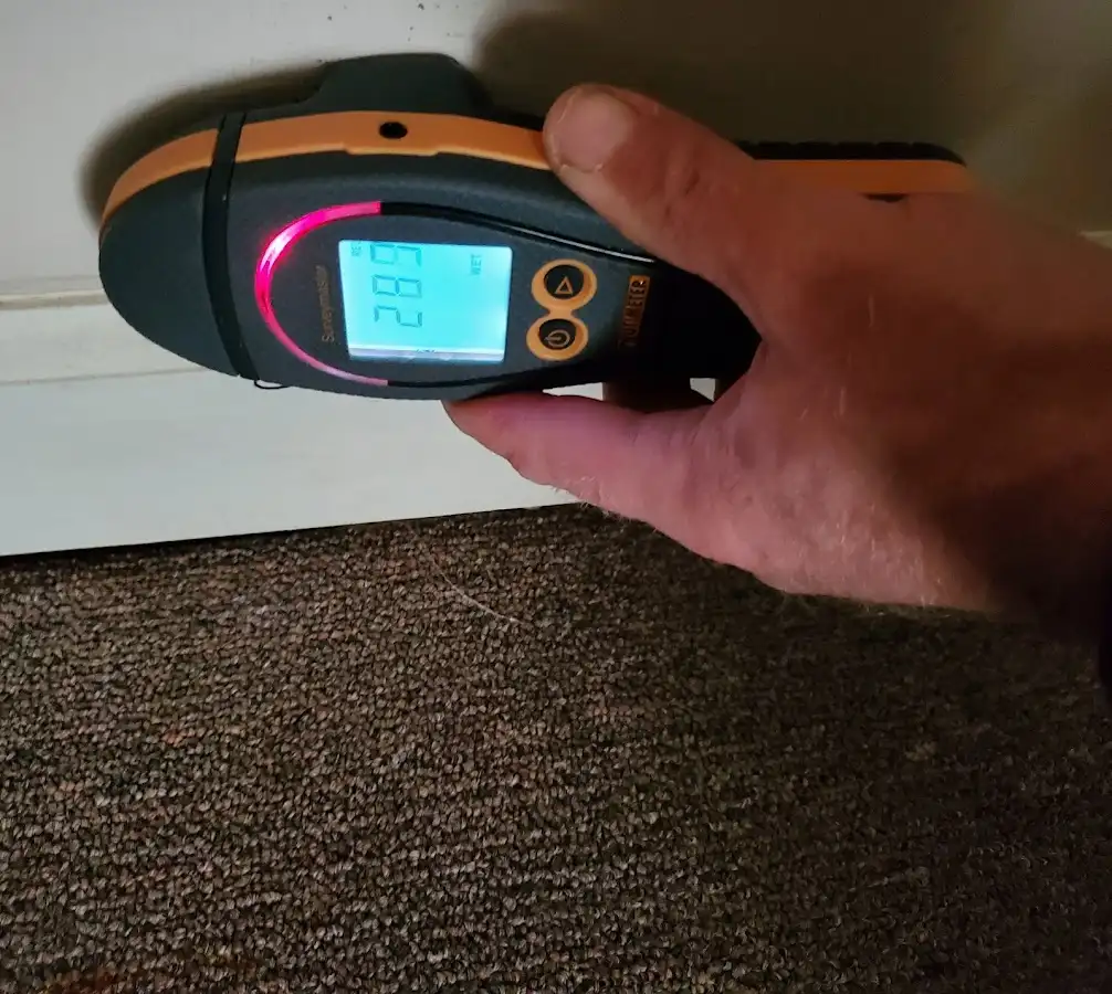 Moisture detection at baseboard during Mold Inspection & Testing in Waihee-Waiehu